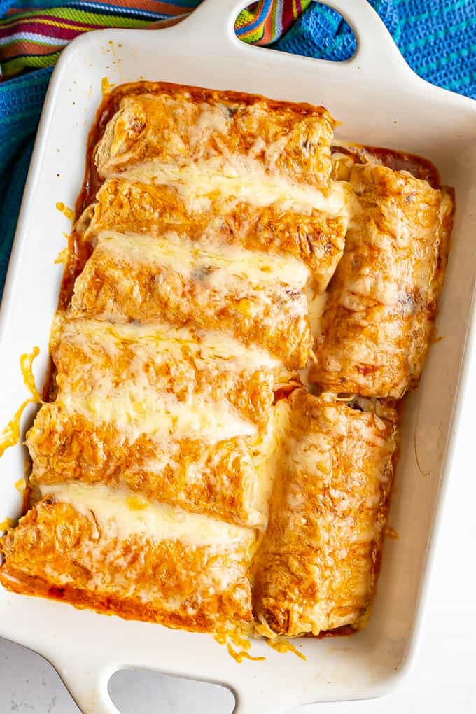 Cheesy chicken enchiladas in a white baking dish after being baked