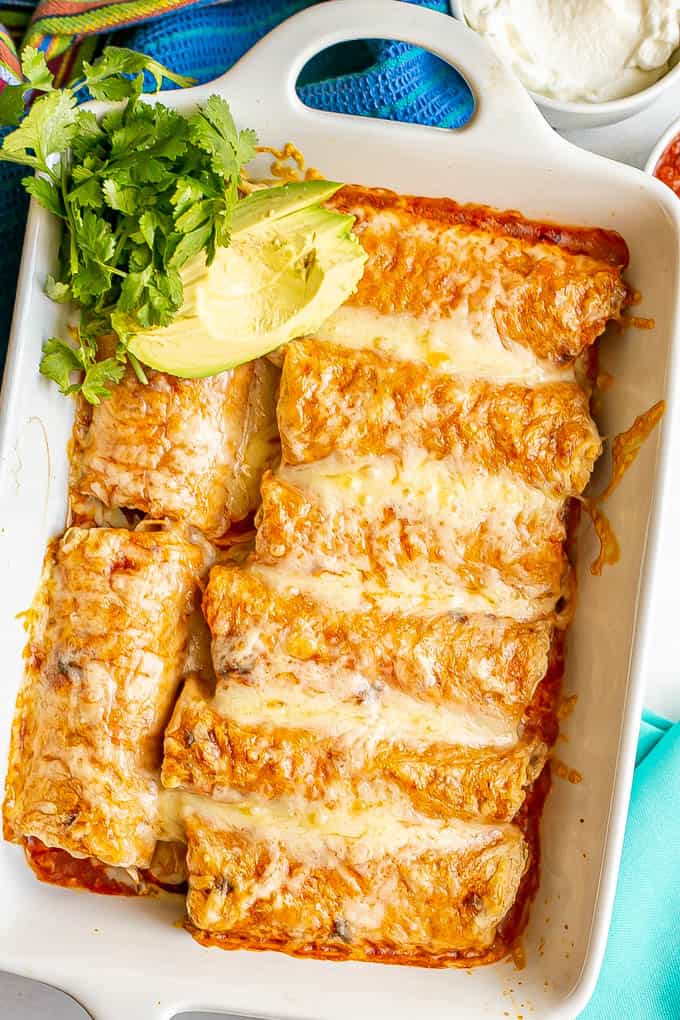 A white pan filled with baked cheesy chicken enchiladas topped with cilantro and avocado