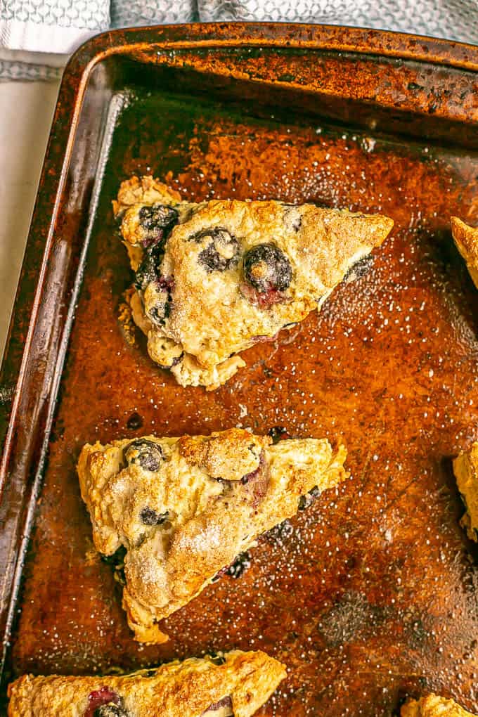 Blueberry scones on a baking sheet after baking