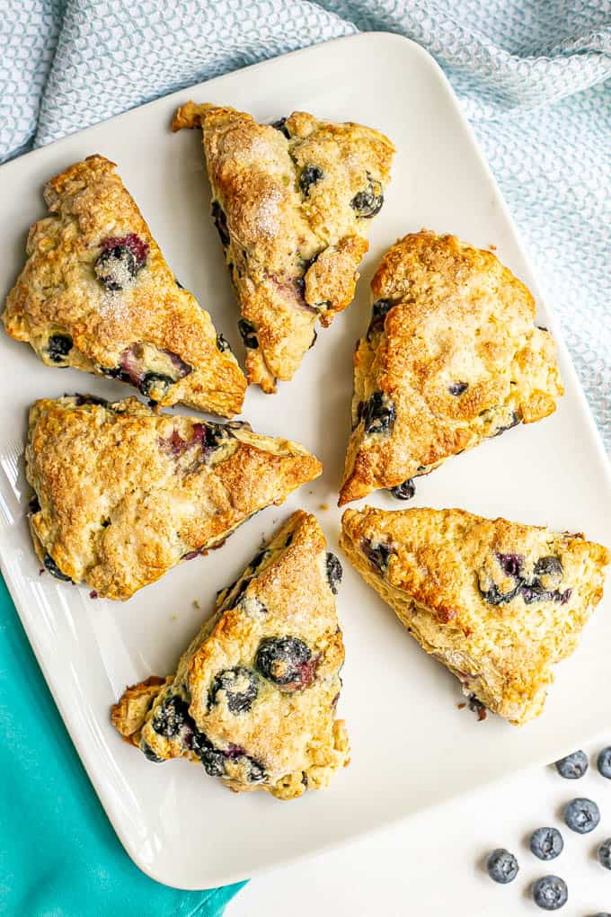 Overhead shot of a plate of six blueberry scones with fresh blueberries scattered nearby
