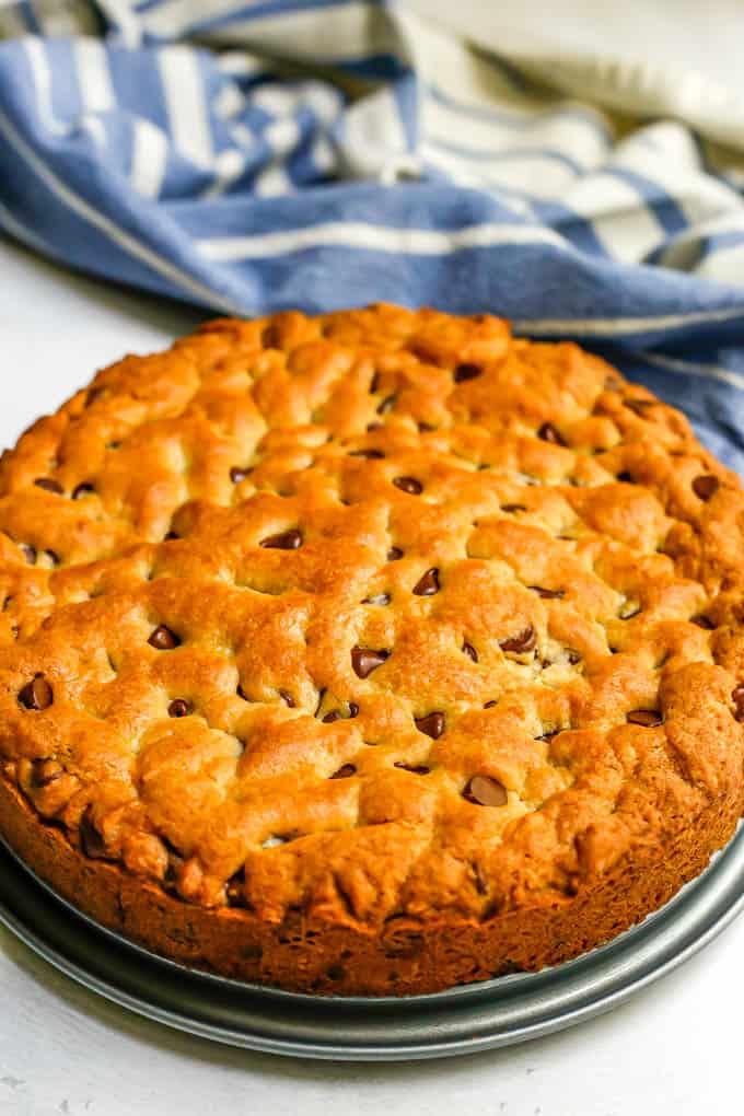 A baked cookie cake in a springform pan while cooling