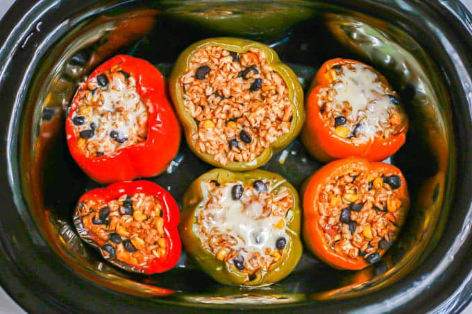 Six cooked multi colored stuffed peppers in a slow cooker insert with some melted cheese on some