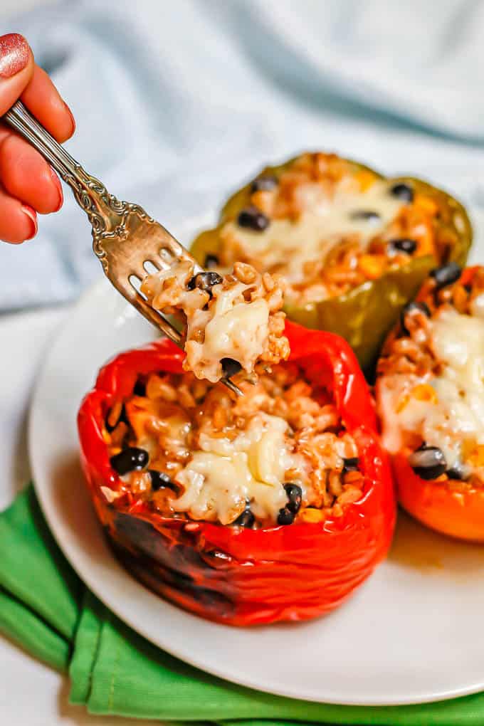 A fork scooping up a cheesy rice mixture from a stuffed pepper on a white plate with a trio of peppers