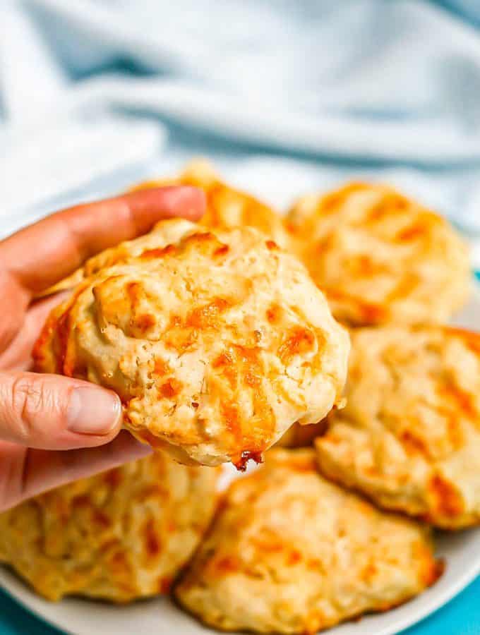 A hand holding up a cheddar garlic drop biscuit from a plate