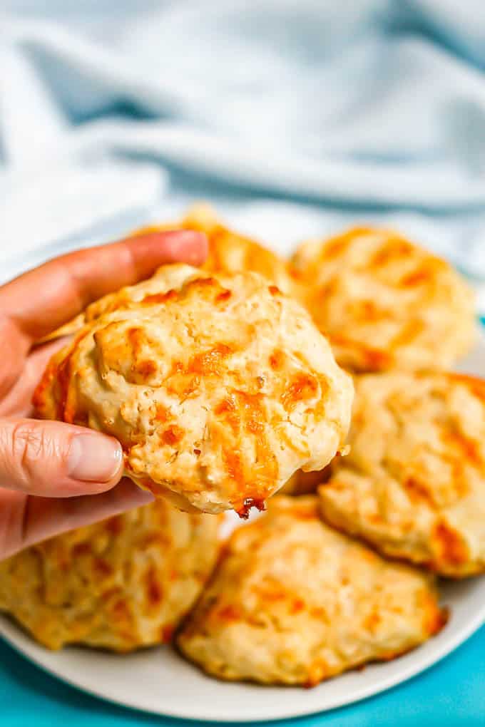A hand holding up a cheddar garlic drop biscuit from a plate