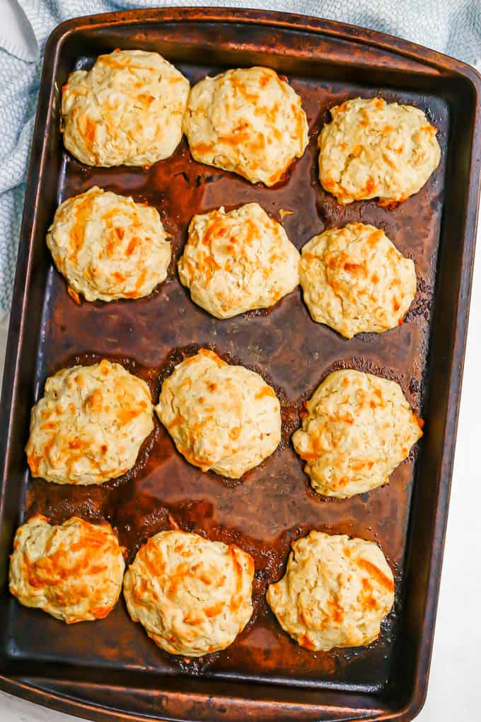 A full baking sheet with a dozen drop biscuits