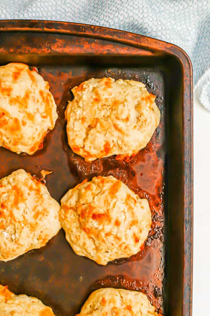 Close up of cheesy drop biscuits on a baking sheet after baking