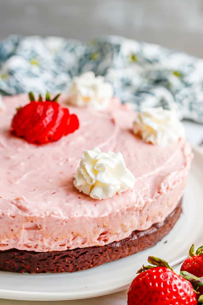 Close up of a strawberry cheesecake brownie crust dessert served on a large white platter with whipped cream dollops on top