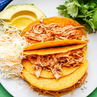Shredded chicken tacos served on a plate with cheese, avocado and cilantro