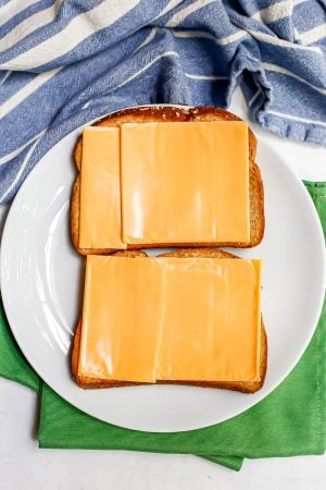 Two slices of bread topped with American cheese on a white plate