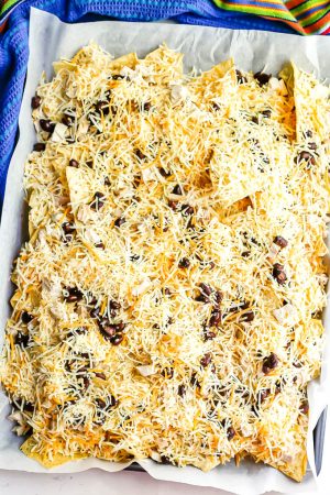 Two layers of tortilla chips topped with shredded cheese, chicken and black beans on a parchment paper lined baking sheet