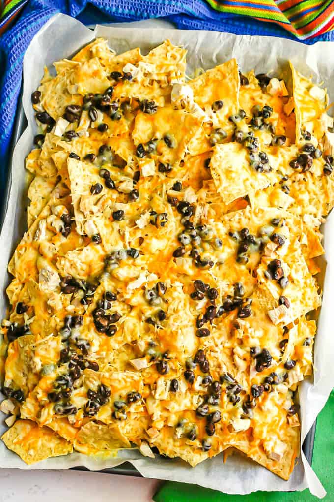 Baked chicken nachos with black beans and shredded Mexican cheese on a baking sheet lined with parchment paper