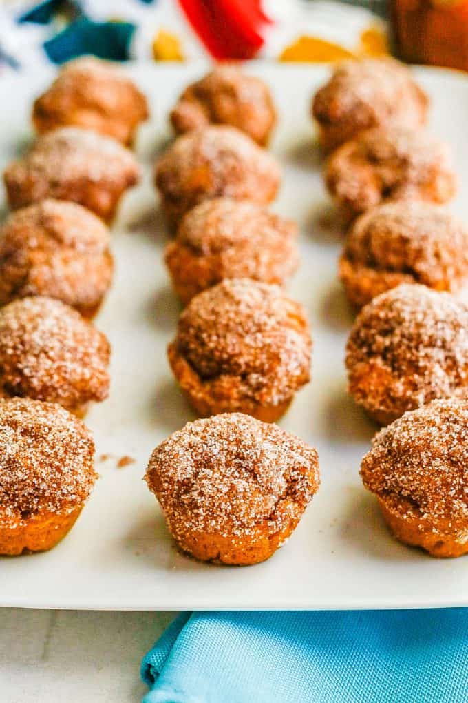 Pumpkin donut holes lined up on a white rectangular plate with teal napkins underneath