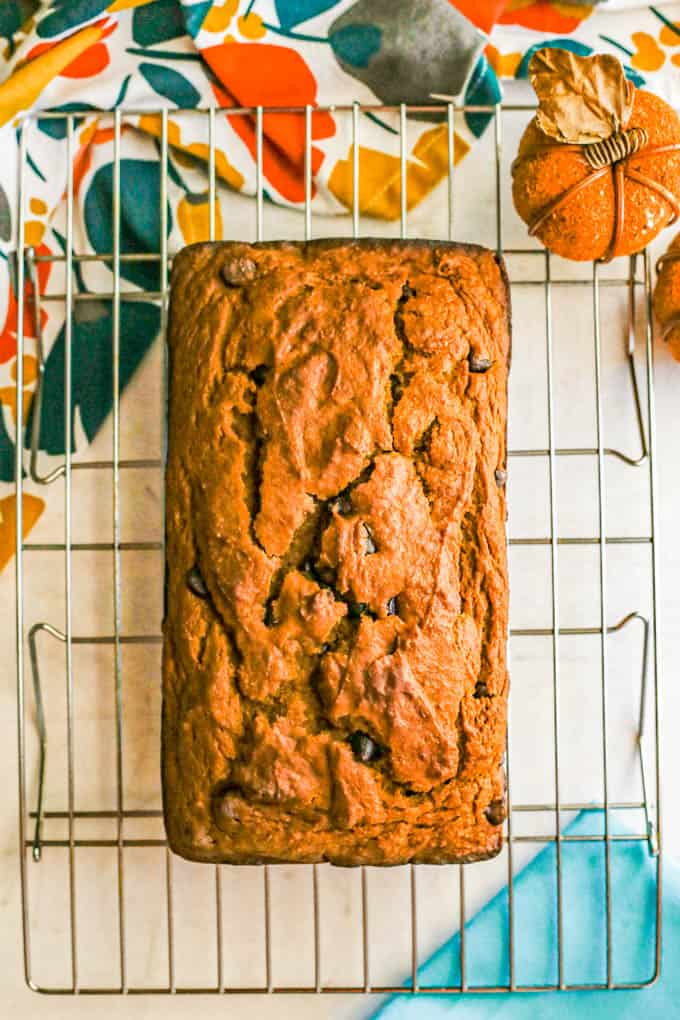 A loaf of chocolate chip pumpkin bread cooling on a wire rack with decorative pumpkins to one side