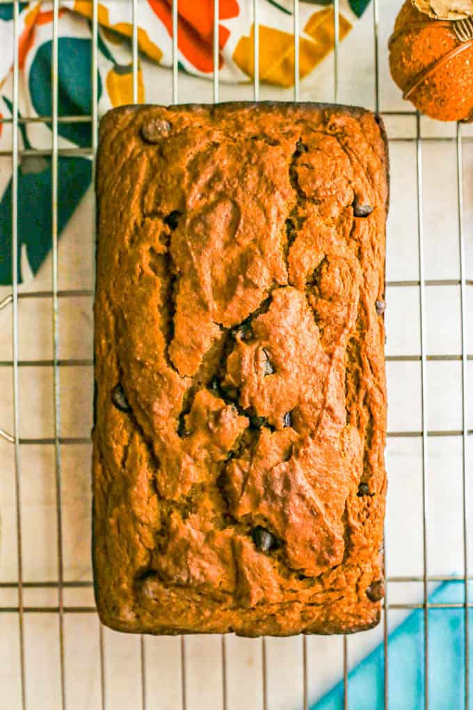 Chocolate chip pumpkin bread cooling on a wire rack