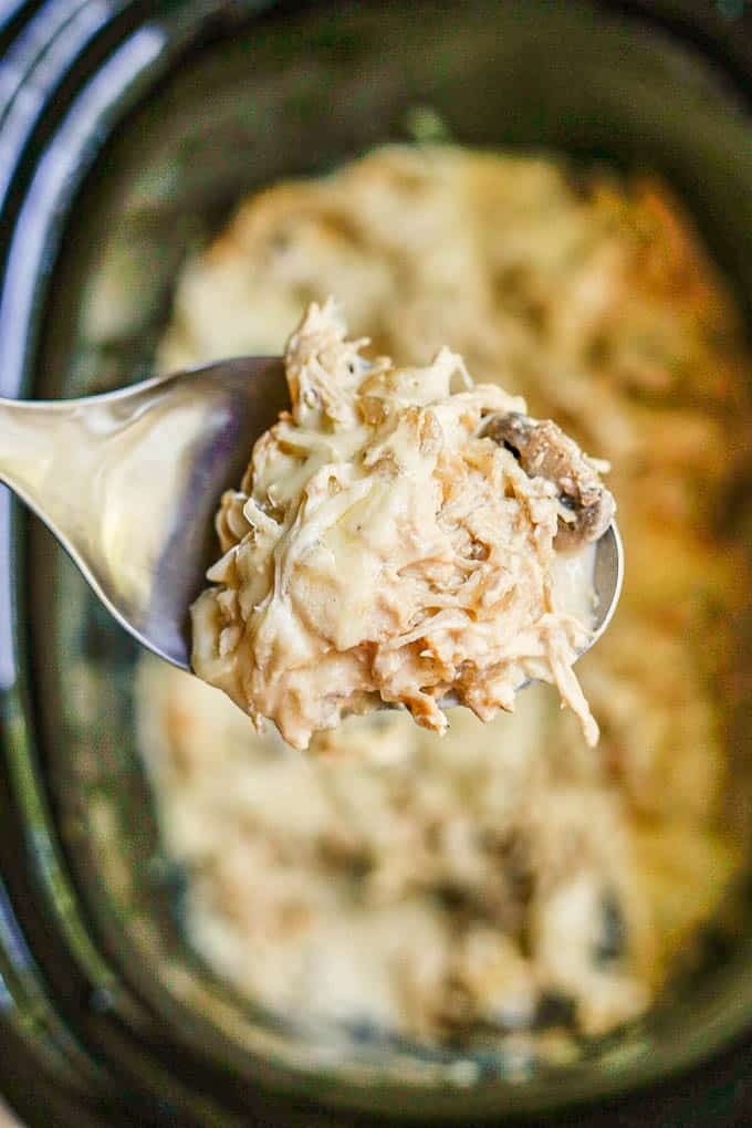 A silver spoon scooping a cheesy cream cheese chicken mixture from a slow cooker