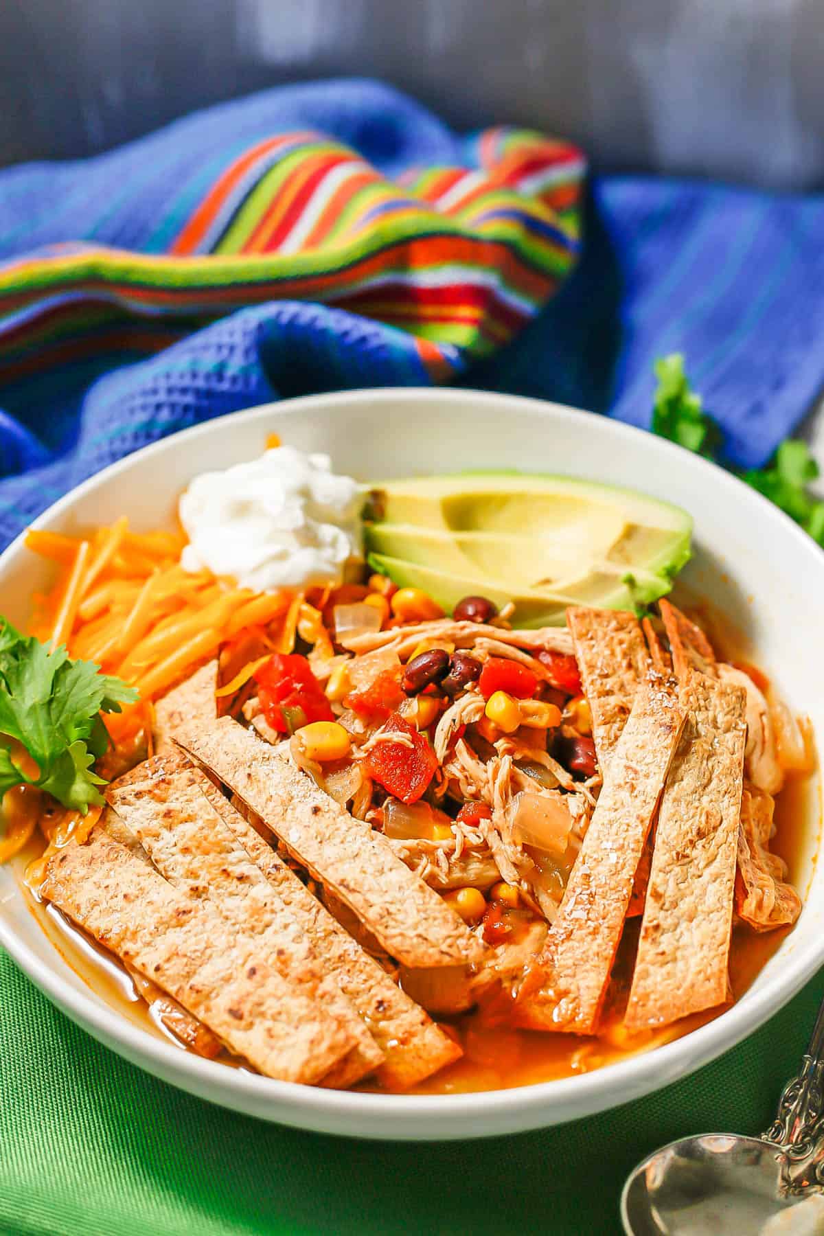 Chicken tortilla soup in a low white bowl with crispy tortilla strips, cheese, sour cream and avocado on top