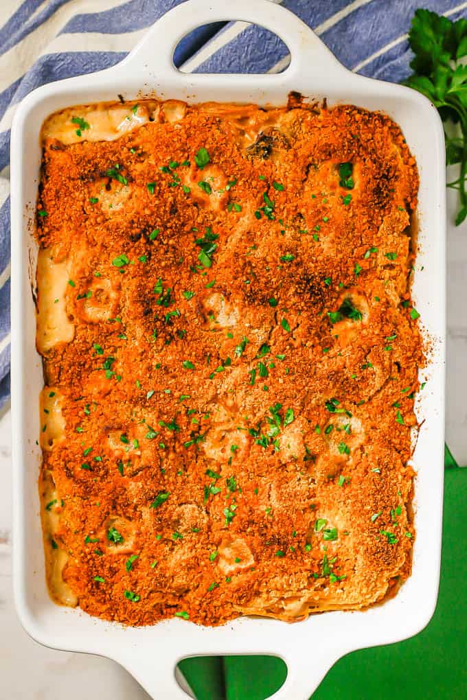 Baked turkey tetrazzini in a large white casserole dish with chopped parsley sprinkled on top