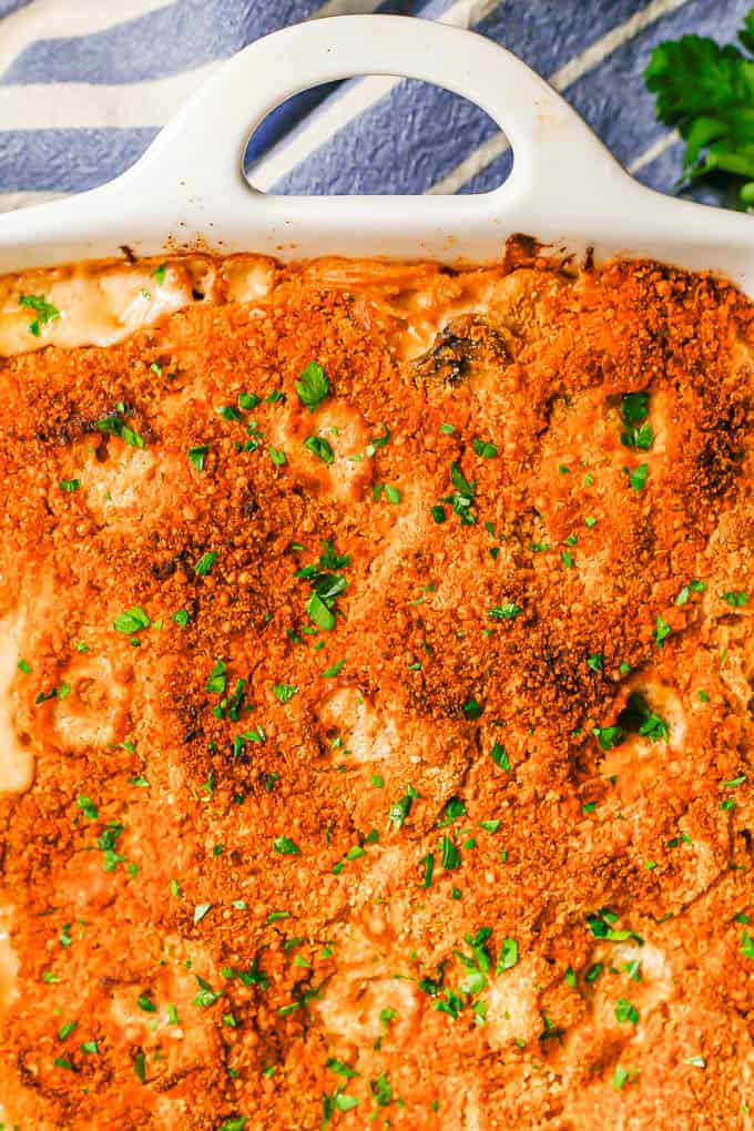 Close up of baked turkey tetrazzini in a large white casserole dish with chopped parsley sprinkled on top