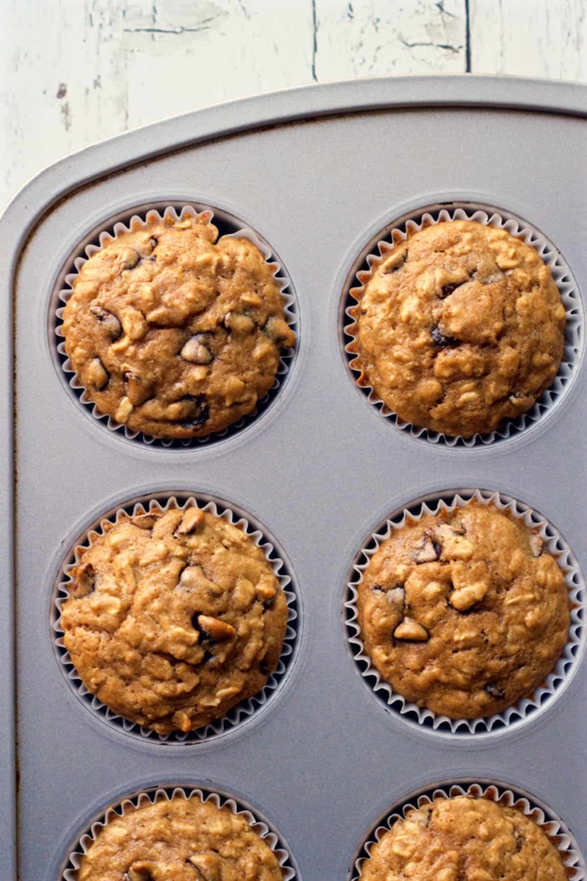 Oatmeal chocolate chip muffins in a muffin tin after baking.