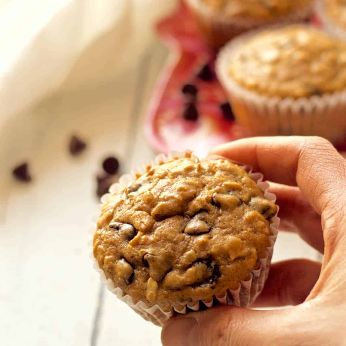 A hand holding a chocolate chip muffin in its paper wrapper.