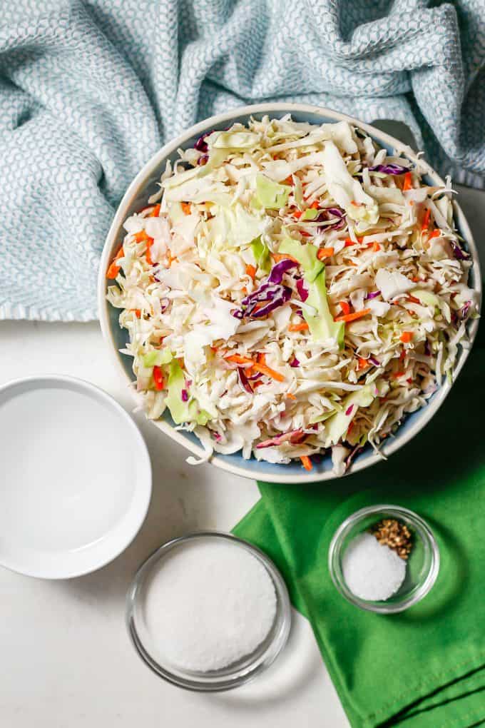 Ingredients laid out on a marble counter for a vinegar based coleslaw.