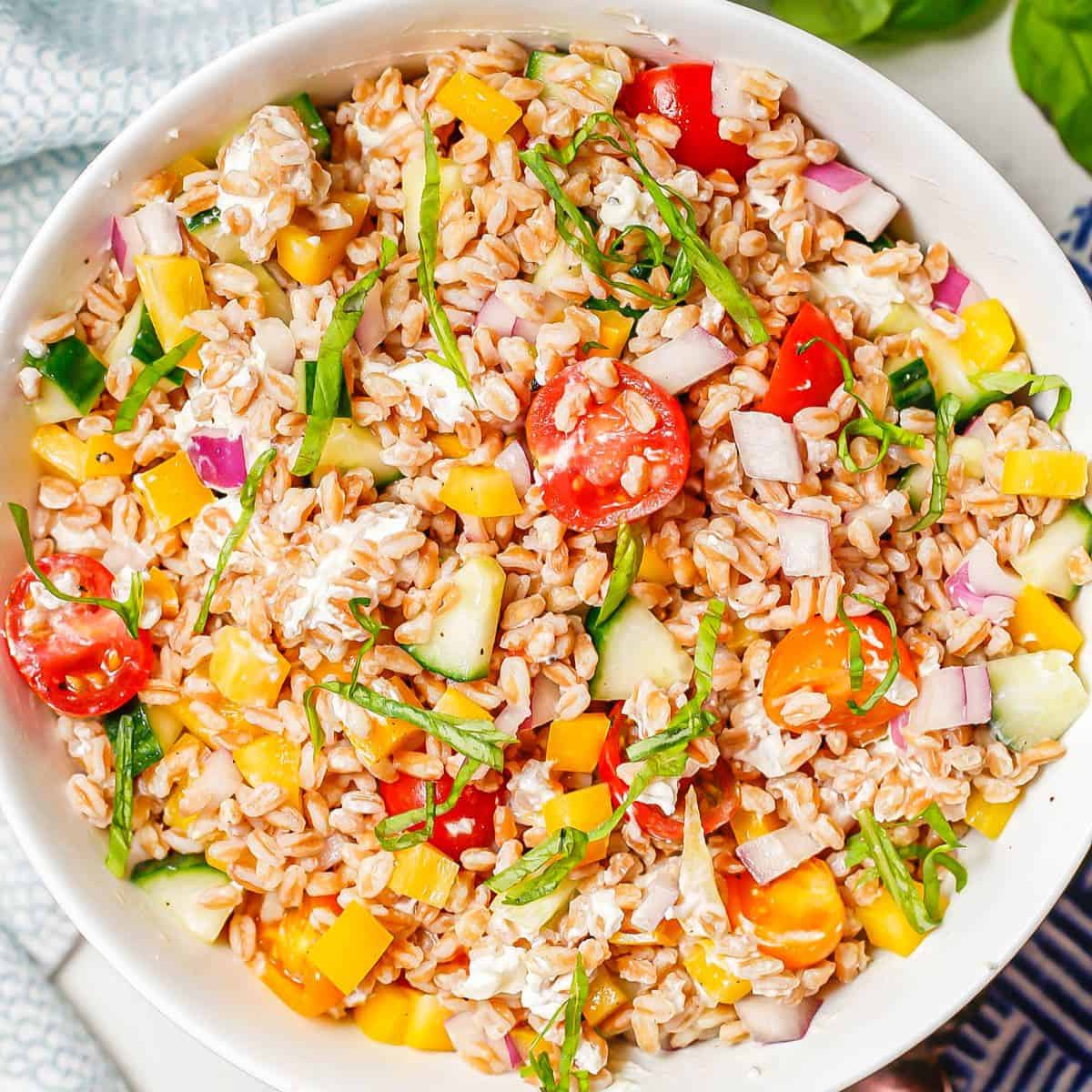 Close up of a bright, fresh summer farro salad with fresh veggies and basil in a white serving bowl.