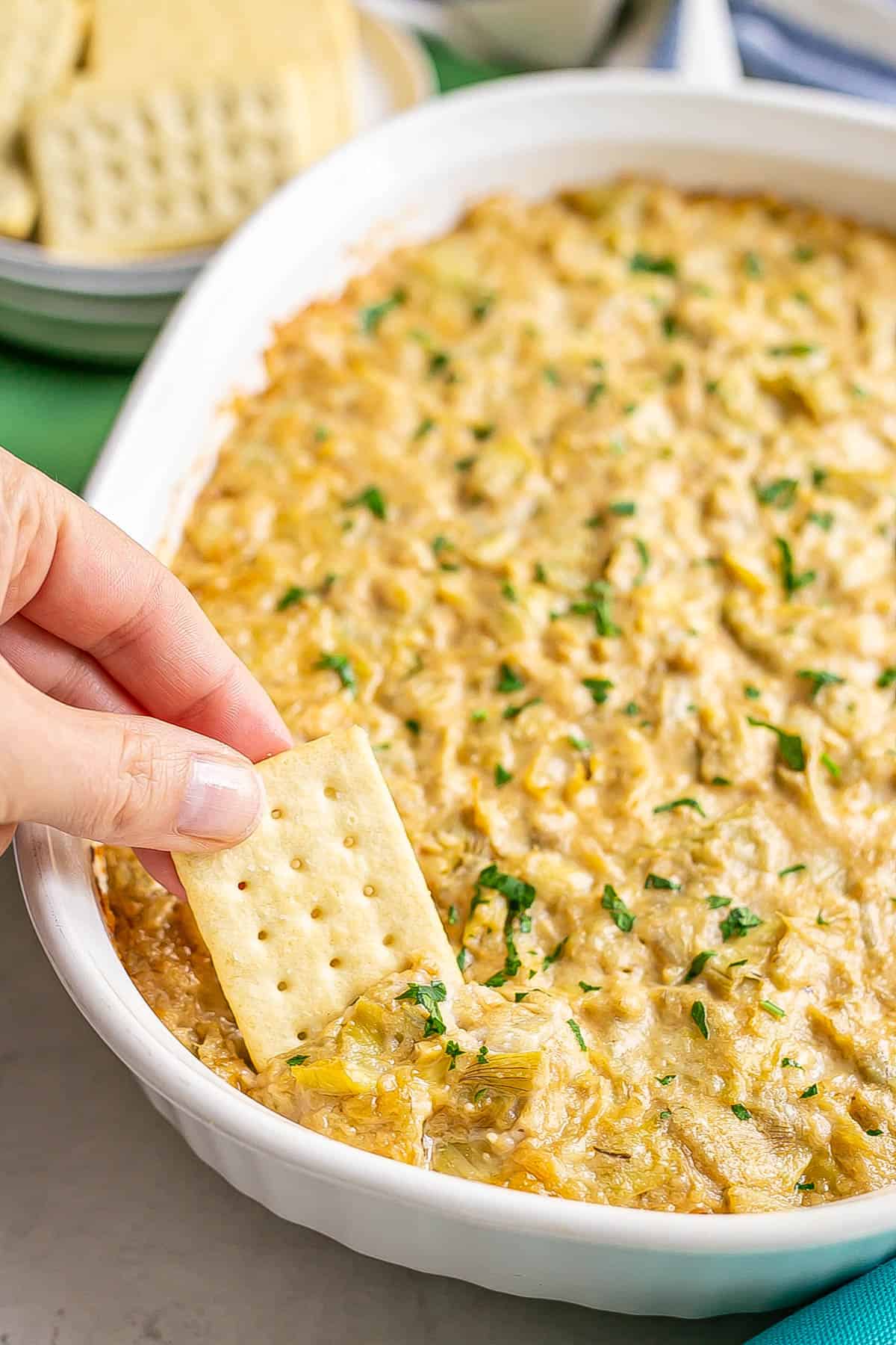 A cracker scooping up artichoke dip from a white casserole dish.