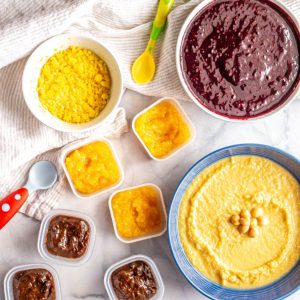 Homemade baby food purees, including apricots, prunes, egg yolks, chickpeas and blackberries, in a variety of bowls and small containers on a counter with a couple of baby spoons laid out.