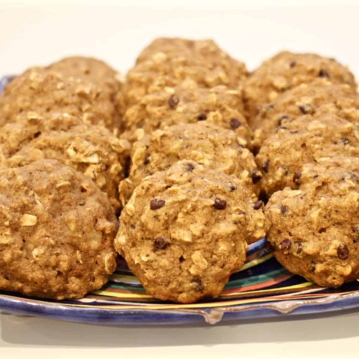 A colorful plate with rows of banana oat cookies, some with chocolate chips.