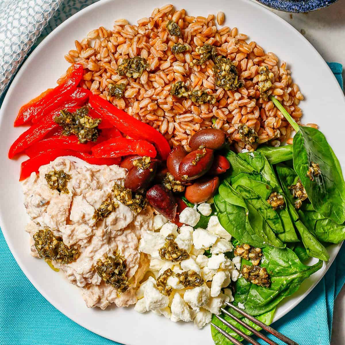 A close up of a salmon grain bowl salad arranged on a white round dinner plate.