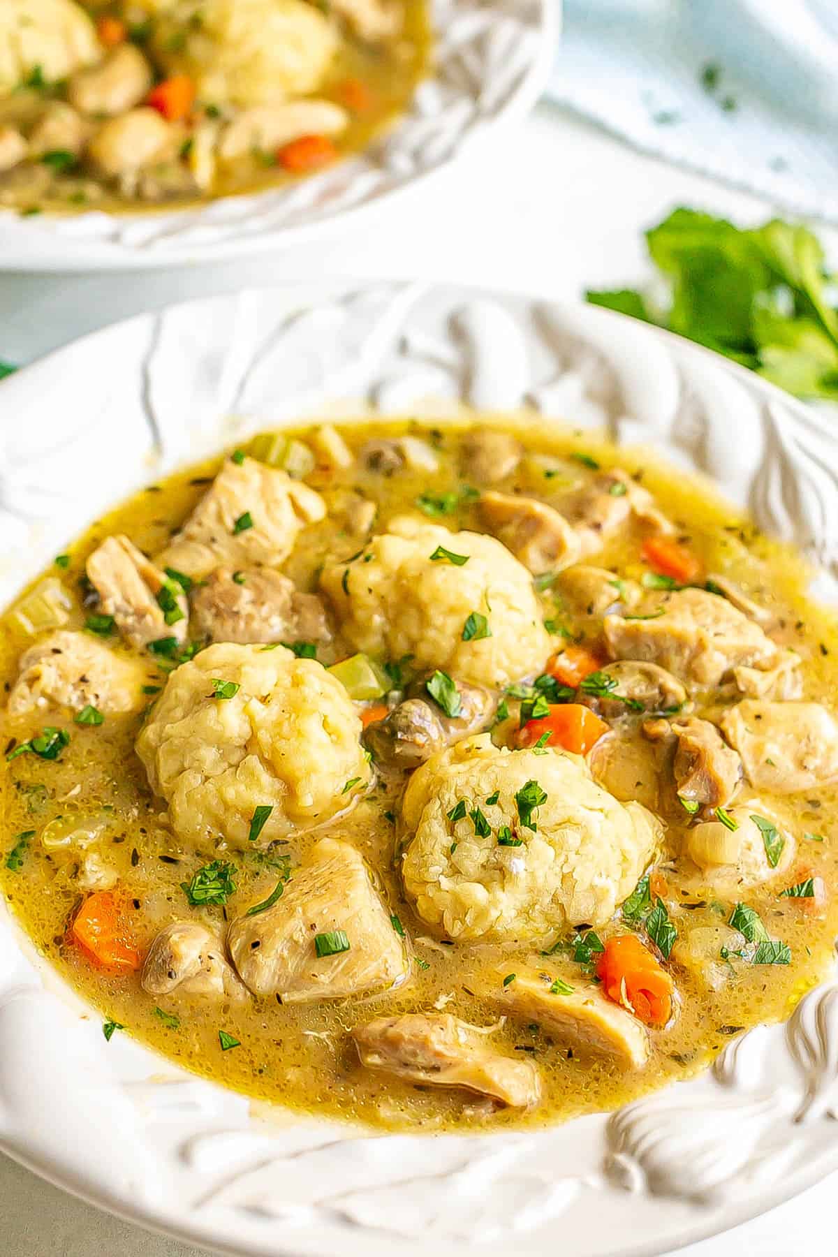 A large white soup bowl with chicken and dumplings topped with chopped fresh parsley.