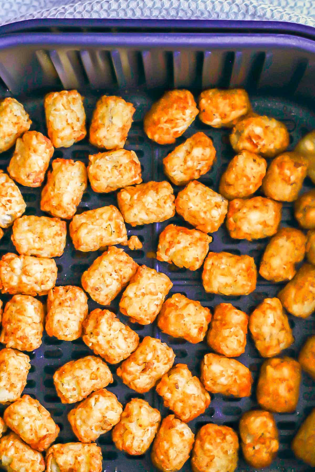 Crispy cooked tater tots in an Air Fryer insert.