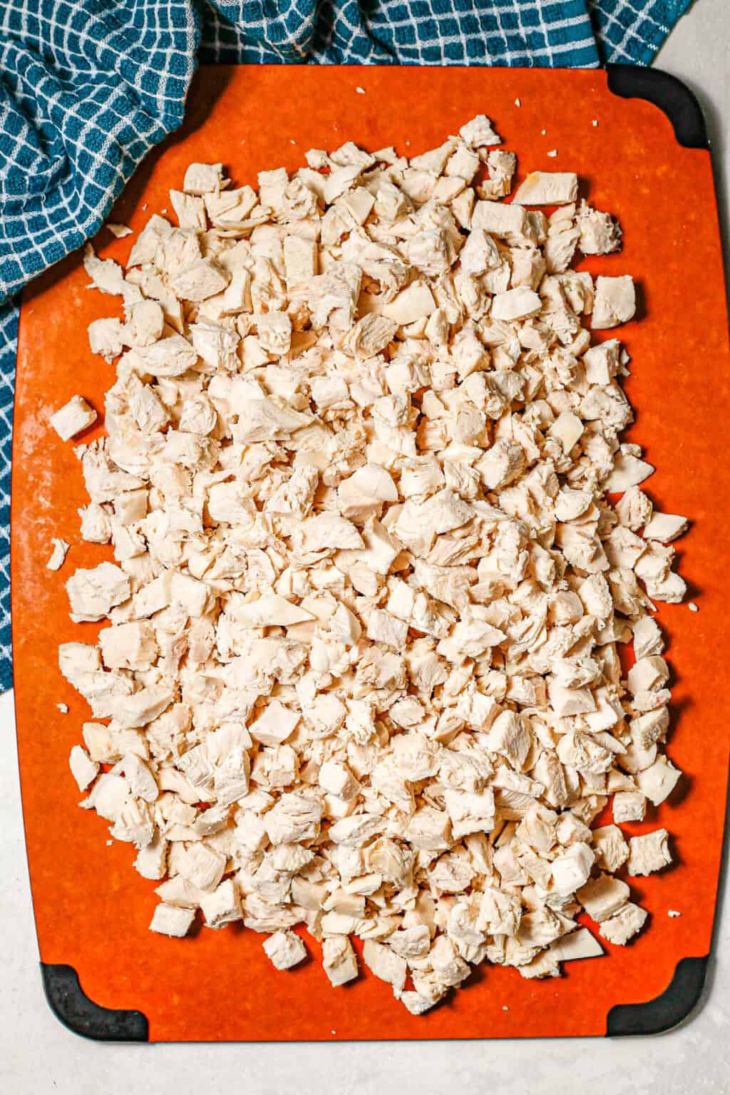 Homemade Dog Food - Family Food on the Table