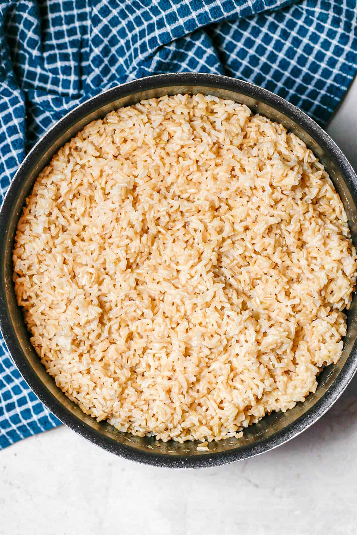 Homemade Dog Food - Family Food on the Table