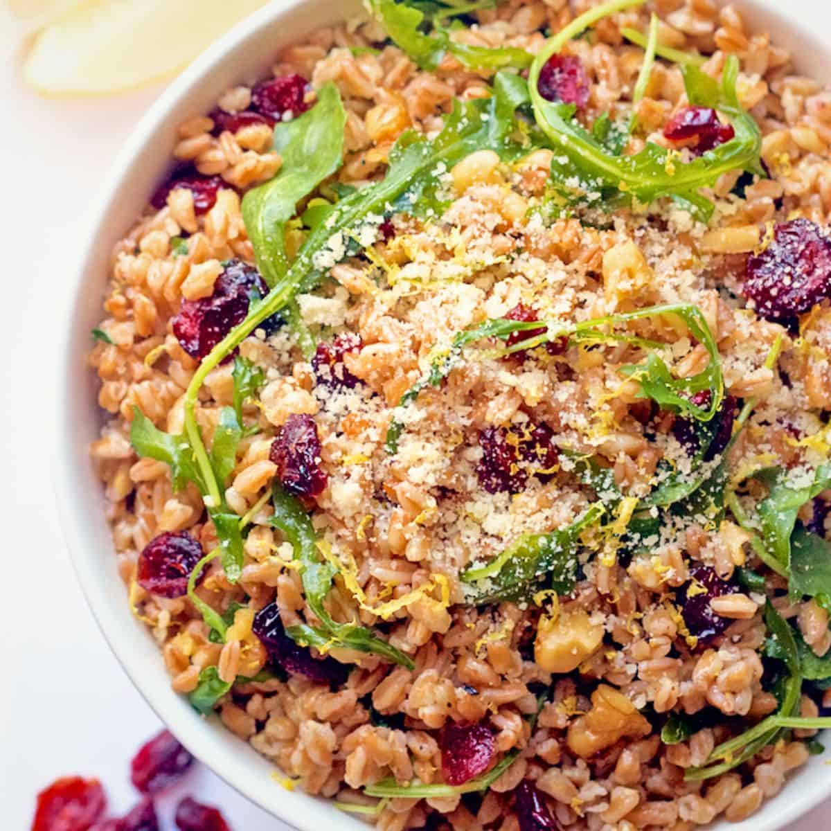 Close up of a white serving bowl filled with a farro salad with arugula, walnuts and dried cranberries.