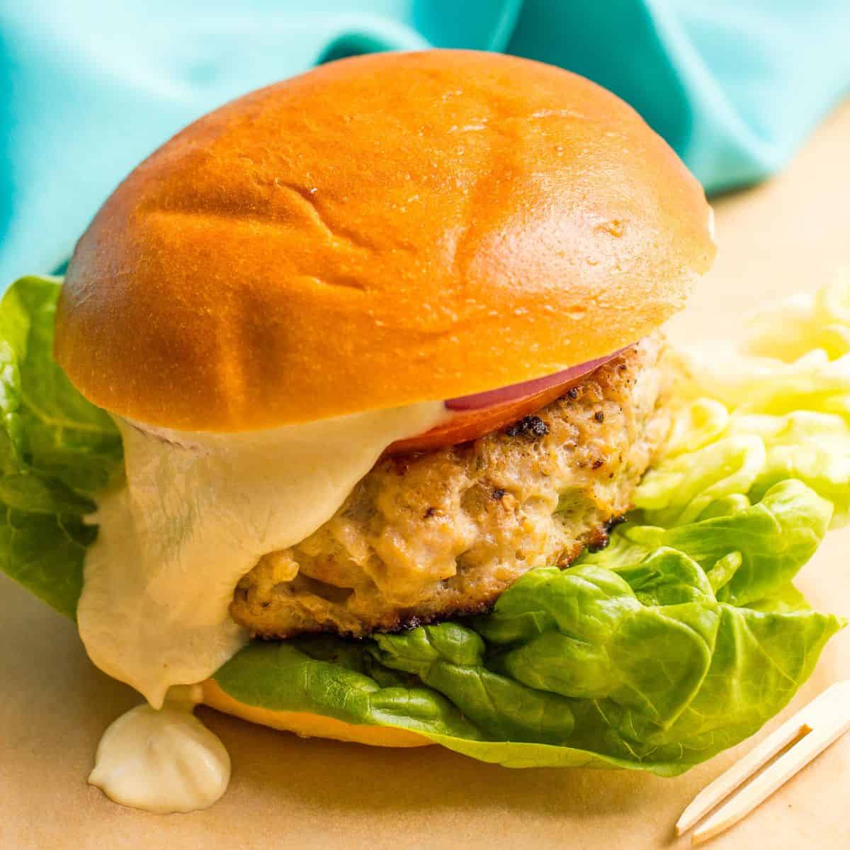 Close up of a cheesy chicken burger on a bun with lettuce and tomato and a creamy sauce dripping off the side.