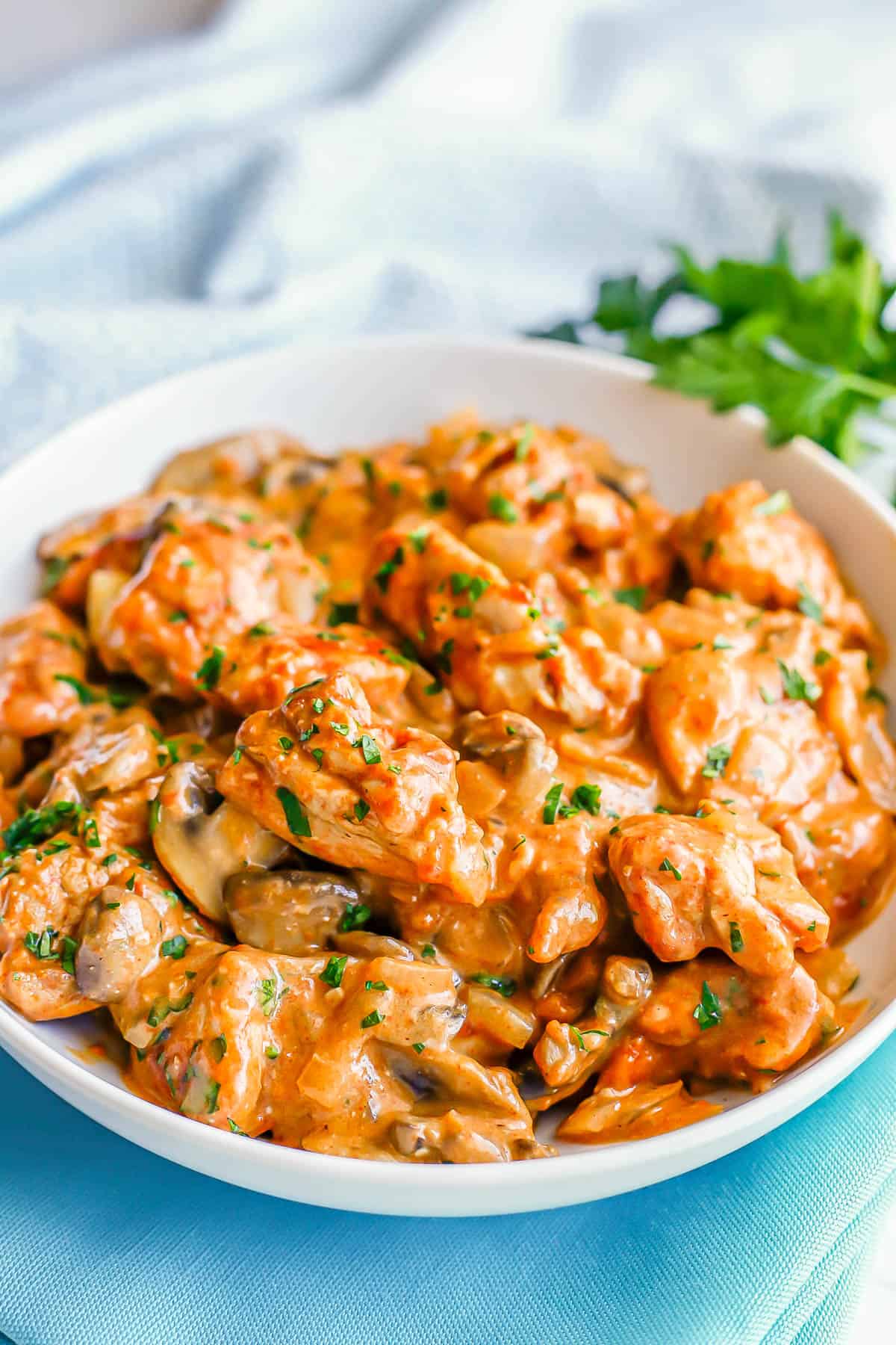 A low white bowl full of a cooked chicken paprikash dish with onions and mushrooms.