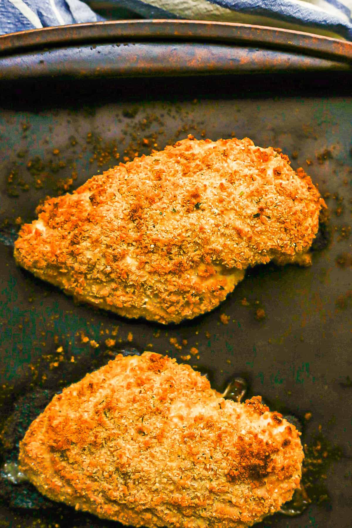 Breadcrumb crusted chicken breasts on a baking sheet after being cooked.