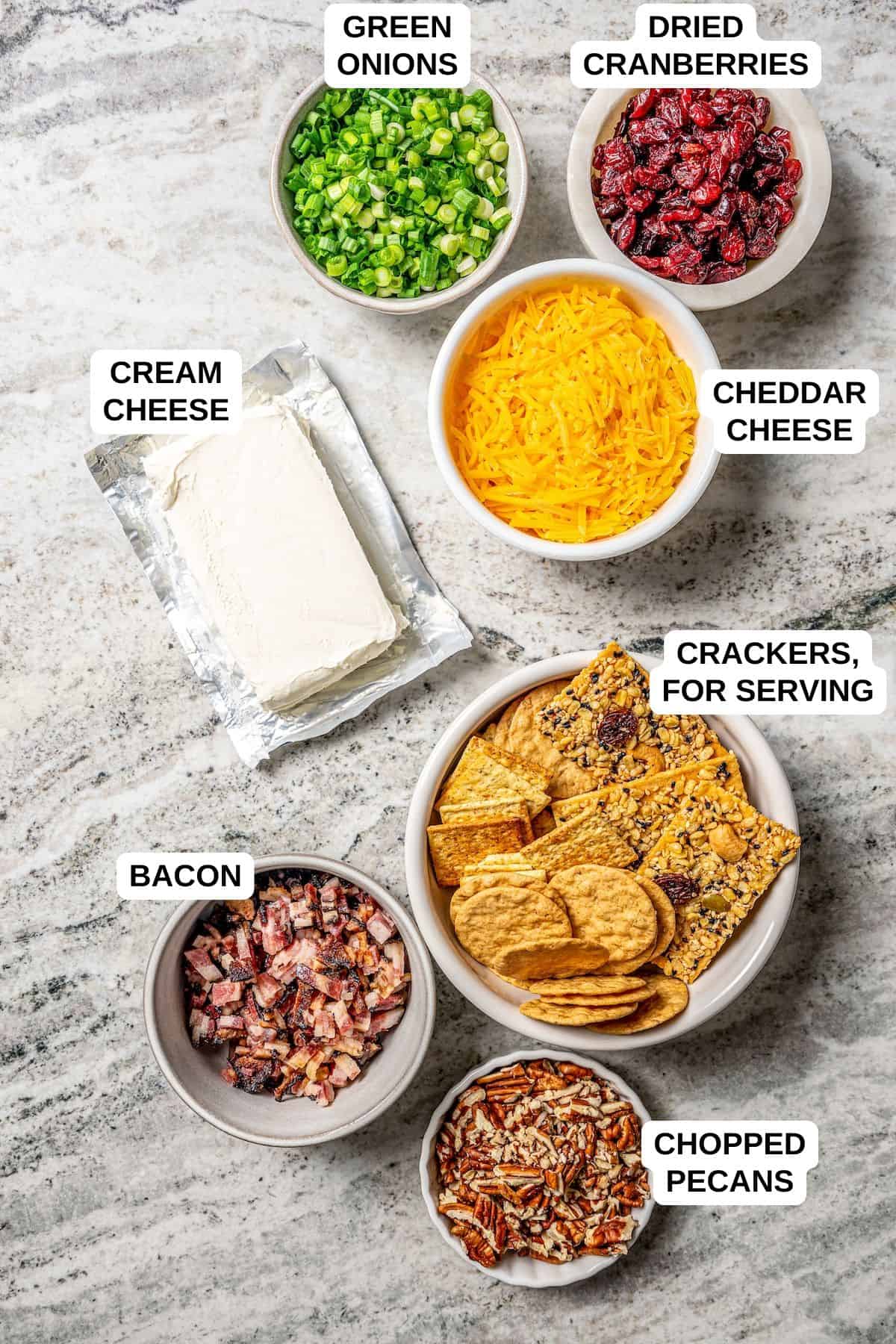 Ingredients laid out on a counter for making a cheese ball with cheddar, bacon, green onions, dried cranberries and chopped pecans.