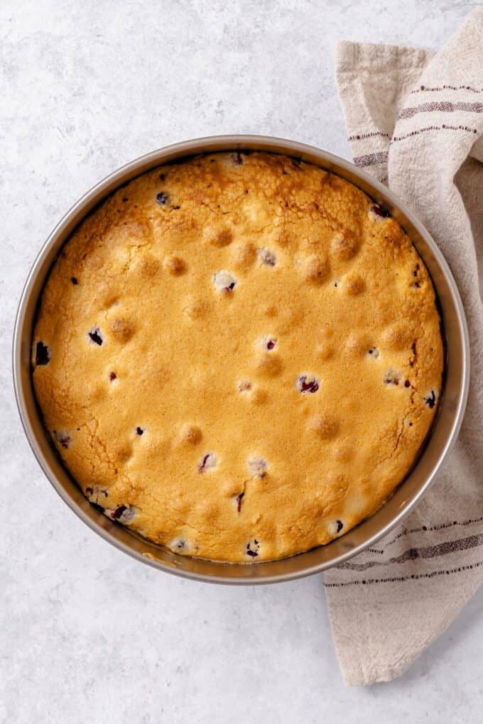 A baked and browned cake with cranberries in a round cake pan.