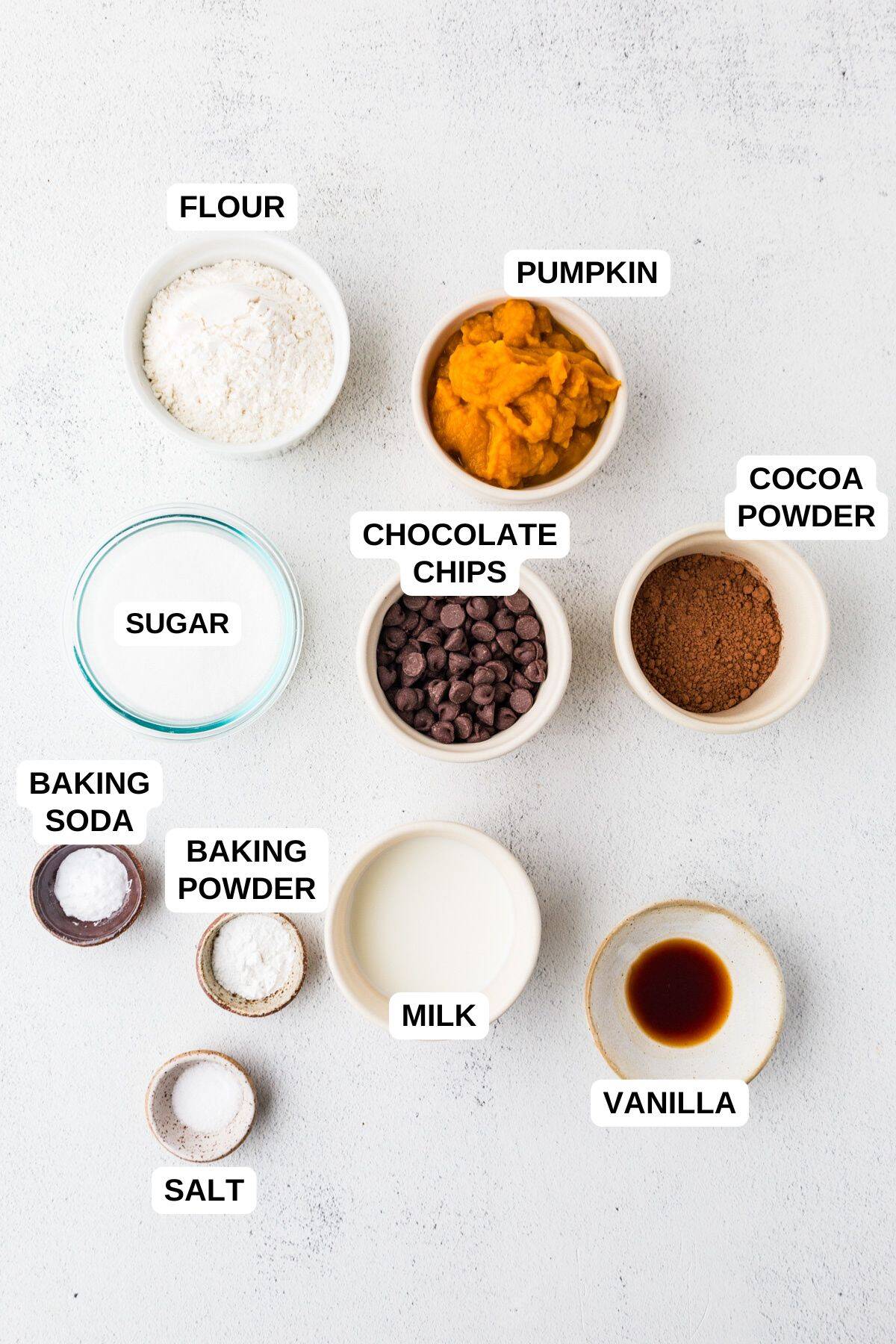 Ingredients laid out in separate bowls for making a chocolate pumpkin dessert.