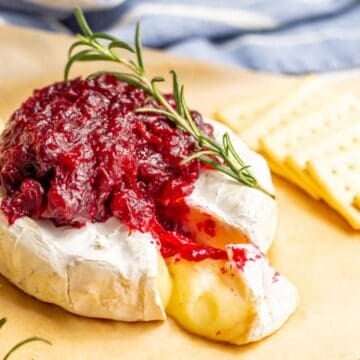 A gooey baked brie wheel of cheese topped with cranberry sauce and a sprig of rosemary.
