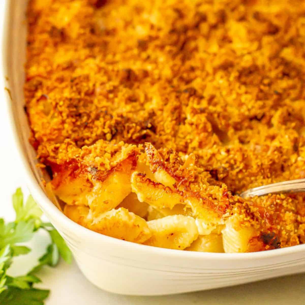 A baked macaroni and cheese casserole in a white baking dish with a buttery breadcrumb topping and a spoon resting in it.