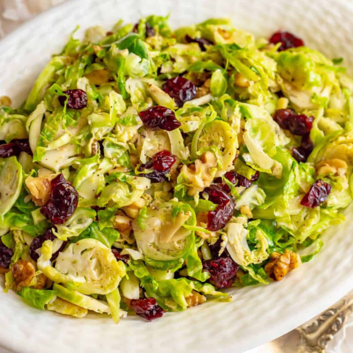 Close up of a white serving bowl full of shredded Brussels sprouts mixed with dried cranberries and chopped walnuts.