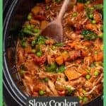 A slow cooker full of a chicken and sweet potato curry with a wooden spoon resting in it and a green border and text around the photo.