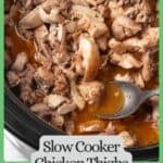 A spoon resting in a slow cooker with cooked, chopped chicken thighs in a brothy sauce with a green border and text around the photo.