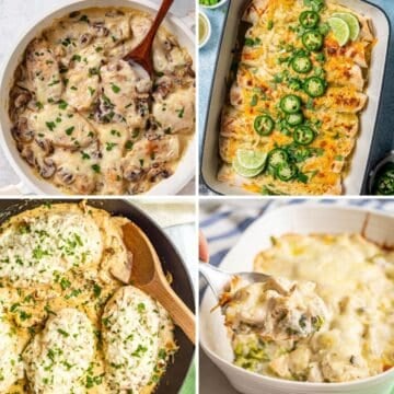 A collage of four different creamy chicken recipes in a square grid.
