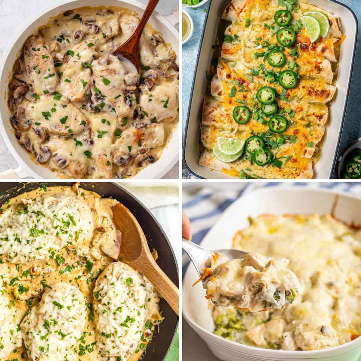 A collage of four different creamy chicken recipes in a square grid.
