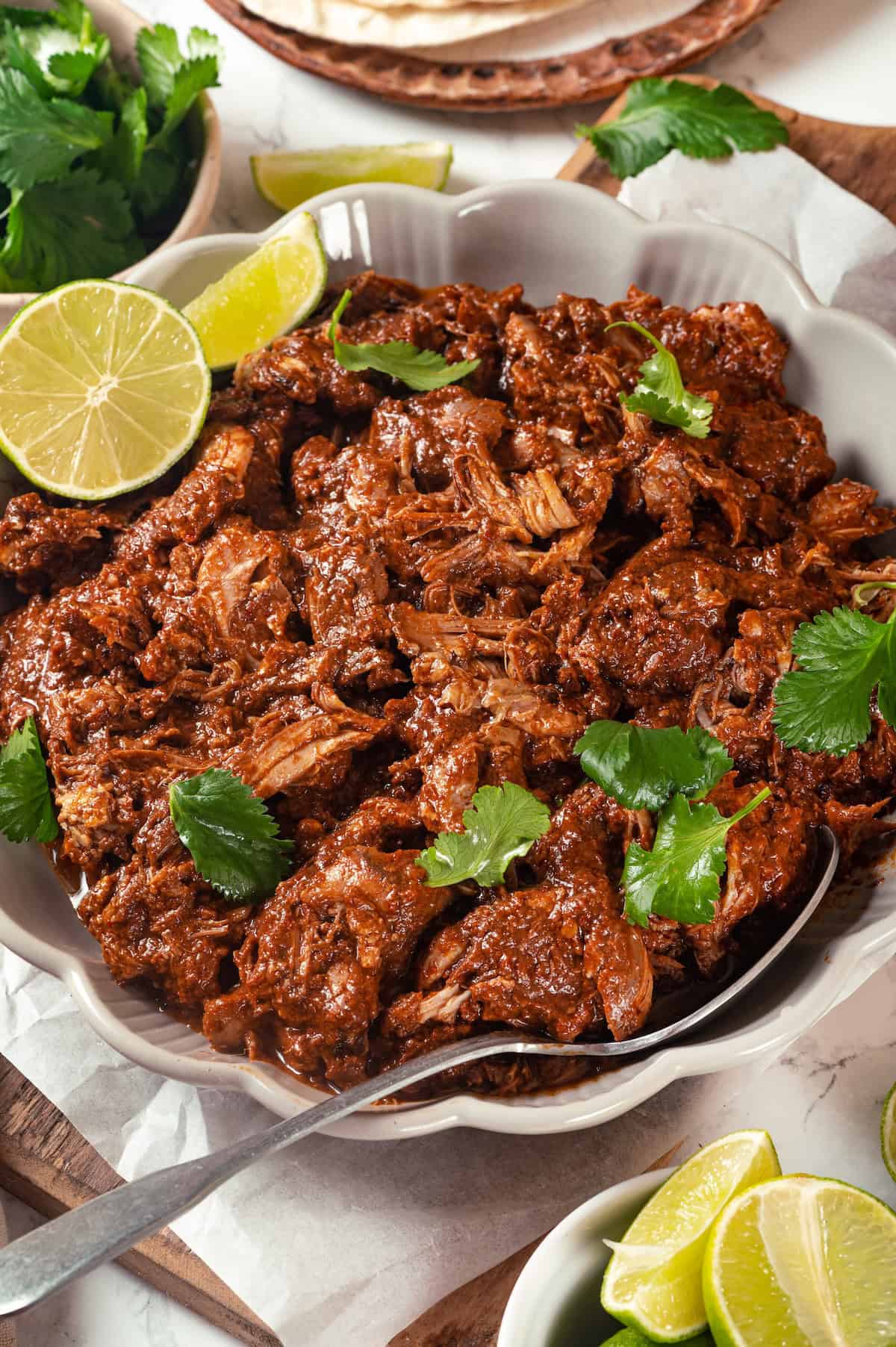 Slow cooked mole chicken in a large serving bowl with a spoon.